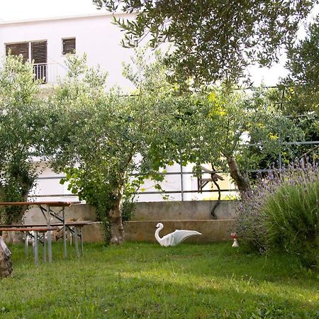 Pepi Apartments 2 Ζαντάρ Εξωτερικό φωτογραφία